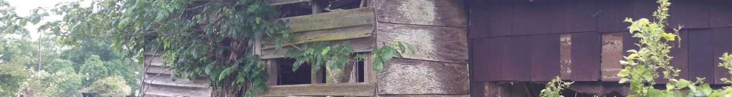 Camp-Hill-AL-Deconstruction-House-Background