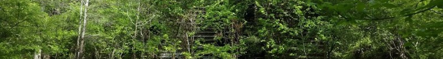 Douglasville-GA-Barn-Deconstruction-Background